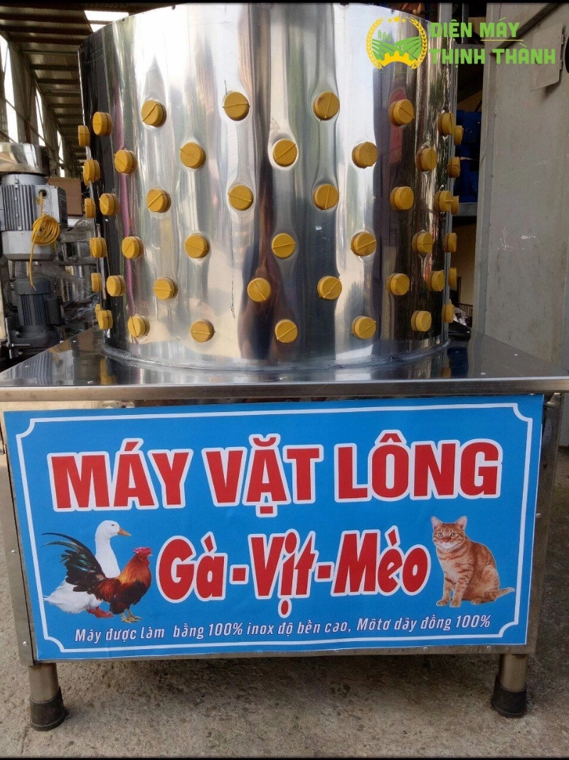 Hướng dẫn chọn mua máy thực phẩm phù hợp với nhu cầu